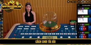 Hướng Dẫn Cách Chơi Tài Xỉu Cho Người Mới Bắt Đầu A-Z