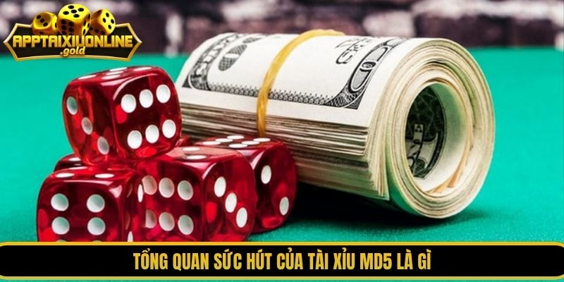 Tổng quan sức hút của tài xỉu MD5 là gì